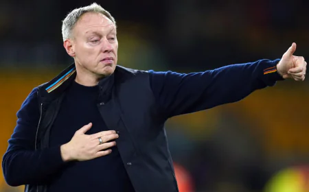 Yeni Başlangıç: Steve Cooper Brøndby ile Anlaştı