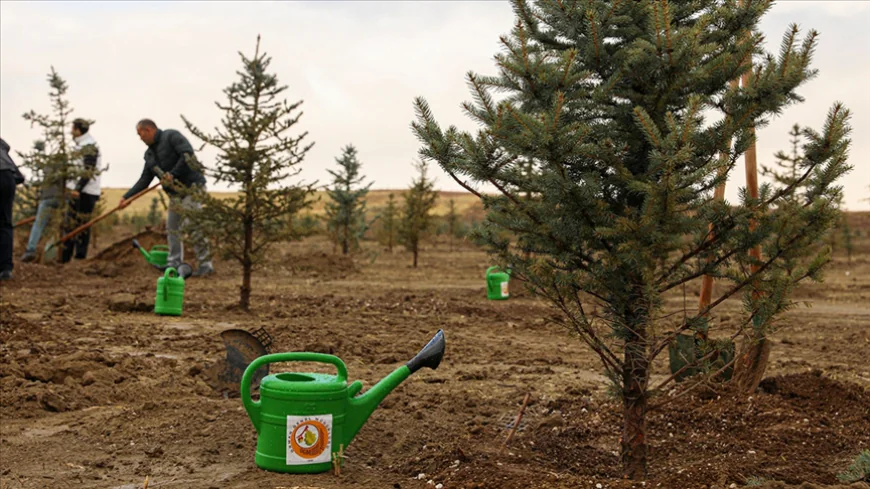 Flamengo, Amazon Ormanları İçin Her Golde Ağaç Dikme Projesi Başlattı